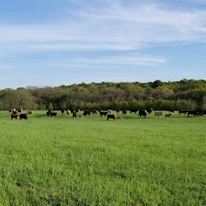 Meet your Posher, Dustin